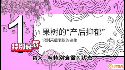 第2节：【冬肥策略】采后&ldquo;月子肥&rdquo;：大小年的精准干预术，课程：《柑橘底肥&ldquo;翻身账&rdquo;：从改土到高产的实战全书》