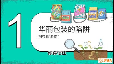 第4节：【黄金配方】底肥里的&ldquo;铁三角&rdquo;与&ldquo;微量雷区&rdquo;课程：《柑橘底肥&ldquo;翻身账&rdquo;：从改土到高产的实战全书》