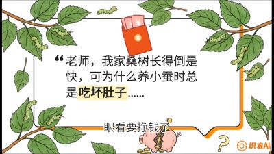 第01节：不仅仅是树&mdash;&mdash;顶级品种选配策略，课程：《桑海淘金：桑树高产与蚕桑安全进阶实战课》