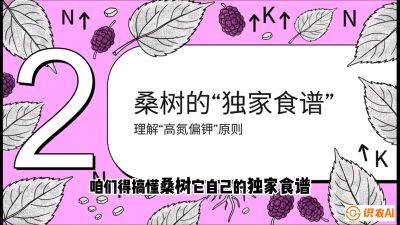 第04节：地下核动力&mdash;&mdash;桑树专用水肥一体化配方，课程：《桑海淘金：桑树高产与蚕桑安全进阶实战课》