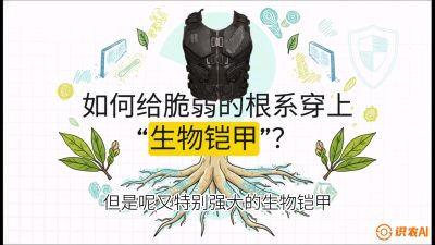第三节：国产榴莲突围战：根系堡垒，菌根微生态构建与黄金定植窗口，课程：《国产榴莲突围战：从泰国经验到中国实操的8堂必修课（高阶实战版）》
