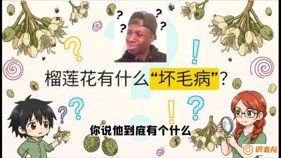 第六节：榴莲的午夜战事，夜间授粉战与花果期避雨策略，课程：《国产榴莲突围战：从泰国经验到中国实操的8堂必修课（高阶实战版）》