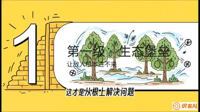 第七节：榴莲防御战：病虫害三级立体防控，疫霉菌与虫害的立体封锁线，课程：《国产榴莲突围战：从泰国经验到中国实操的8堂必修课（高阶实战版）》