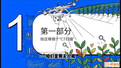第5节：无人机也能&ldquo;看病抓药&rdquo;&mdash;&mdash;处方图与变量施肥入门，课程：《无人机植保搞钱必修课：从&ldquo;瞎飞&rdquo;到&ldquo;懂行&rdquo;的6步进阶》