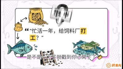 第一节：【选品与规划】如果不养&ldquo;四大家鱼&rdquo;，我们还能养什么？,课程：《黄金鳞甲：2025中国淡水鱼高效养殖实战营》