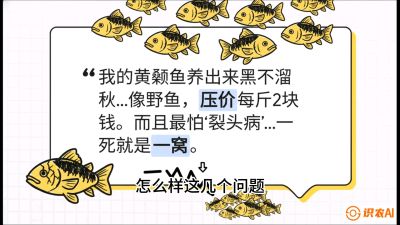 第四节：【黄金单品&middot;黄颡鱼】解决&ldquo;一点红&rdquo;与&ldquo;香蕉色&rdquo;的悖论，课程：《黄金鳞甲：2025中国淡水鱼高效养殖实战营》