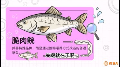第六节：【老品升级&middot;脆肉鲩】如何让草鱼身价翻倍？，课程：《黄金鳞甲：2025中国淡水鱼高效养殖实战营》