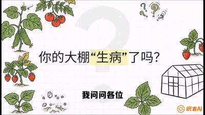 第2节（解毒篇）： 大棚里的&ldquo;红白绿&rdquo;警报&mdash;&mdash;读懂土壤盐渍化的求救信号，课程：《揭秘土壤的秘密：让土地帮你赚钱》#识农AI