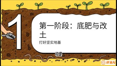 第6节（统筹篇）： 省钱又增产的&ldquo;黄金配比&rdquo;&mdash;&mdash;不同作物全年的养土实操方案，课程：《揭秘土壤的秘密：让土地帮你赚钱》#识农AI