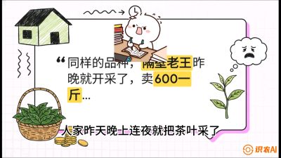 第01节（抢早篇）：与老天爷抢饭吃：如何利用&ldquo;温差阈值&rdquo;让头采茶提前5天上市？，课程：《茶金时代：从&ldquo;看天吃饭&rdquo;到&ldquo;精准控局&rdquo;的茶叶高产提质实战课》