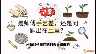 第02节（土肥篇）：告别&ldquo;苦涩水味&rdquo;：揭秘&ldquo;碳氮比&rdquo;调控术，种出自带兰花香的好茶底，课程：《茶金时代：从&ldquo;看天吃饭&rdquo;到&ldquo;精准控局&rdquo;的茶叶高产提质实战课》