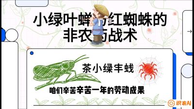 第03节（虫害篇）：看不见的吸血鬼：小绿叶蝉与红蜘蛛的&ldquo;非农药&rdquo;团灭战术（抗性治理），课程：《茶金时代：从&ldquo;看天吃饭&rdquo;到&ldquo;精准控局&rdquo;的茶叶高产提质实战课》