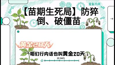 第2节：【苗期生死局】防猝倒、破僵苗，决定后期产量的&ldquo;黄金20天&rdquo;，课程：《辣椒种植实战特训营，从工业辣椒到精品小米辣，教你如何把&ldquo;草&rdquo;种成&ldquo;金&rdquo;》
