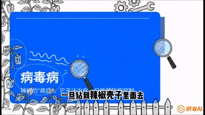 第5节：【病毒病阻击】辣椒的&ldquo;癌症&rdquo;怎么治？从&ldquo;绝收恐慌&rdquo;到&ldquo;带毒生产&rdquo;的逆转术，课程：《辣椒种植实战特训营，从工业辣椒到精品小米辣，教你如何把&ldquo;草&rdquo;种成&ldquo;金&rdquo;》