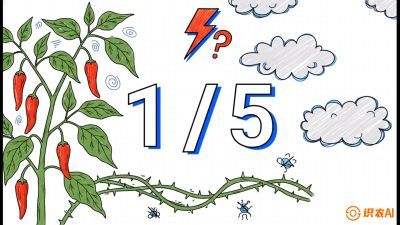 第6节：【花果爆发术】落花落果的五大元凶，与&ldquo;三喷一保&rdquo;坐果黑科技，课程：《辣椒种植实战特训营，从工业辣椒到精品小米辣，教你如何把&ldquo;草&rdquo;种成&ldquo;金&rdquo;》