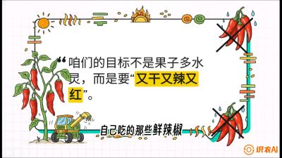 第7节：【工业辣椒专场】追求极致辣度！干物质提升与机械化采收的&ldquo;催红秘籍&rdquo;，课程：《辣椒种植实战特训营，从工业辣椒到精品小米辣，教你如何把&ldquo;草&rdquo;种成&ldquo;金&rdquo;》