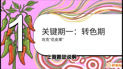 第8节：【小米辣线椒专场】颜值即正义！防花皮、防炭疽，打造收购商抢着要的&ldquo;精品果&rdquo;，课程：《辣椒种植实战特训营，从工业辣椒到精品小米辣，教你如何把&ldquo;草&rdquo;种成&ldquo;金&rdquo;》