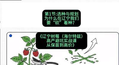 第一节： 选种与规划&mdash;&mdash;为什么在辽宁我们要&ldquo;砍&rdquo;着种？，课程：《辽宁树莓（海尔特兹）高产避坑实战课：从保苗到高价》