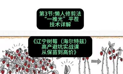 第三节： 懒人修剪法&mdash;&mdash;&ldquo;一推光&rdquo;平茬技术详解，课程：《辽宁树莓（海尔特兹）高产避坑实战课：从保苗到高价》
