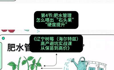 第四节： 肥水管理&mdash;&mdash;怎么喂出&ldquo;石头果&rdquo;（硬度提升），课程：《辽宁树莓（海尔特兹）高产避坑实战课：从保苗到高价》