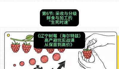 第六节： 采收与分级&mdash;&mdash;鲜食与加工的&ldquo;生死时速&rdquo;，课程：《辽宁树莓（海尔特兹）高产避坑实战课：从保苗到高价》