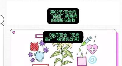 第02节：百合的&ldquo;癌症&rdquo;&mdash;&mdash;病毒病的阻断与急救，课程：《卷丹百合&ldquo;无病高产&rdquo;植保实战课》#识农AI