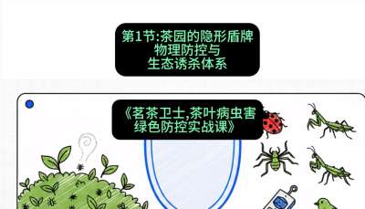 第01节：茶园的&ldquo;隐形盾牌&rdquo;&mdash;&mdash;物理防控与生态诱杀体系，课程：《茗茶卫士&mdash;&mdash;茶叶病虫害绿色防控实战课》#识农AI