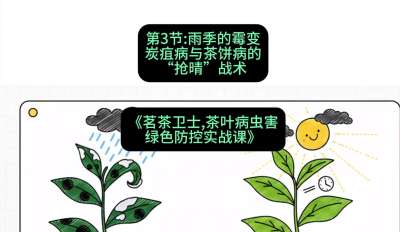 第03节：雨季的霉变&mdash;&mdash;炭疽病与茶饼病的&ldquo;抢晴&rdquo;战术，课程：《茗茶卫士&mdash;&mdash;茶叶病虫害绿色防控实战课》#识农AI