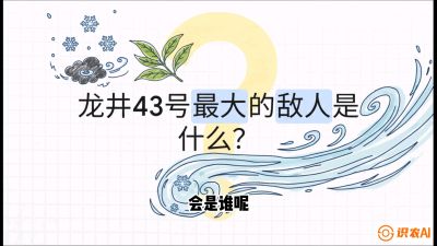 第04节：龙井双璧&mdash;&mdash;龙井43与群体种的差异化护养（重点），课程：《茗茶卫士&mdash;&mdash;茶叶病虫害绿色防控实战课》#识农AI
