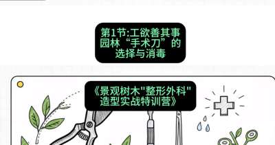 第01节：工欲善其事&mdash;&mdash;园林&ldquo;手术刀&rdquo;的选择与消毒，课程：《景观树木&ldquo;整形外科&rdquo;造型实战特训营》#识农AI