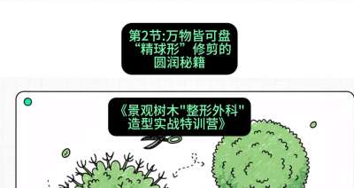 第02节：万物皆可盘&mdash;&mdash;&ldquo;精球形&rdquo;修剪的圆润秘籍，课程：《景观树木&ldquo;整形外科&rdquo;造型实战特训营》#识农AI