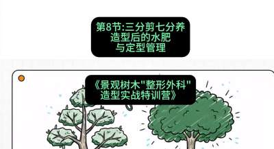 第08节：三分剪七分养&mdash;&mdash;造型后的水肥与定型管理，课程：《景观树木&ldquo;整形外科&rdquo;造型实战特训营》#识农AI