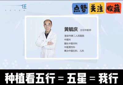 中药材淫羊藿怎么种？听专家一次讲明白！不挑地块好管理，耐寒耐旱省心省力，新手也能轻松上手，药用价值高、市场需求稳，妥妥的增收好品种～ 从生长习性到采收要点，干货满满无废话，种植疑问直接问，一对一答疑解