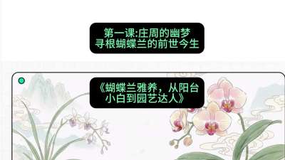 第一节：庄周的幽梦：寻根蝴蝶兰的前世今生，课程：《蝴蝶兰雅养六讲：从阳台小白到园艺达人》#识农AI
