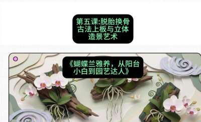 第五节：脱胎换骨：古法上板与立体造景艺术，课程：《蝴蝶兰雅养六讲：从阳台小白到园艺达人》#识农AI